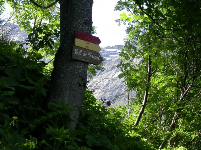 panneau